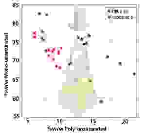 Detecting Olive Oil Adulteration with Hazelnut Oil using X-Pulse