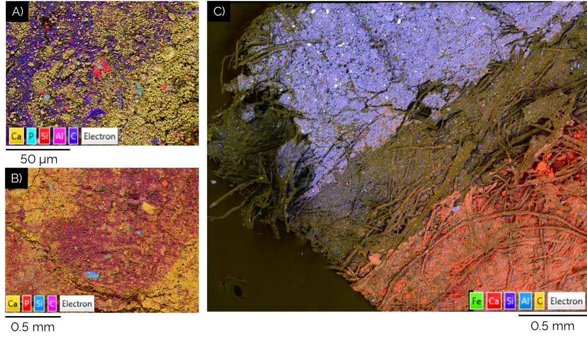 Figure 3- BEX Images of wallpaper and pigments at varying degrees of magnification. Images collected in variable pressure mode