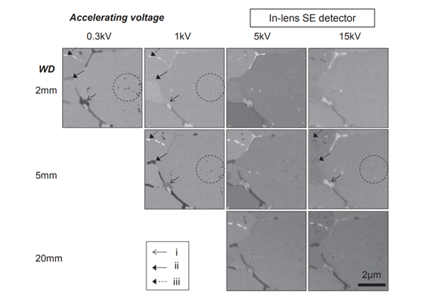 In-lens SE images of the same region of the 2.25Cr-1 Mo steel specimen