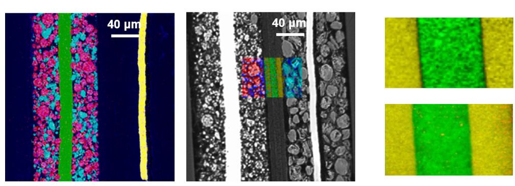 Using Correlative RISE Microscopy