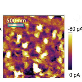 AFM map of the photocurrent of a solar cell material