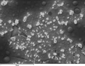 Electron image of solid state garnet electrolyte showing beam damage after analysis in the SEM.