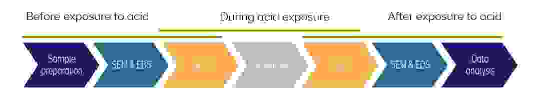 Workflow for studying acid digestion of teeth