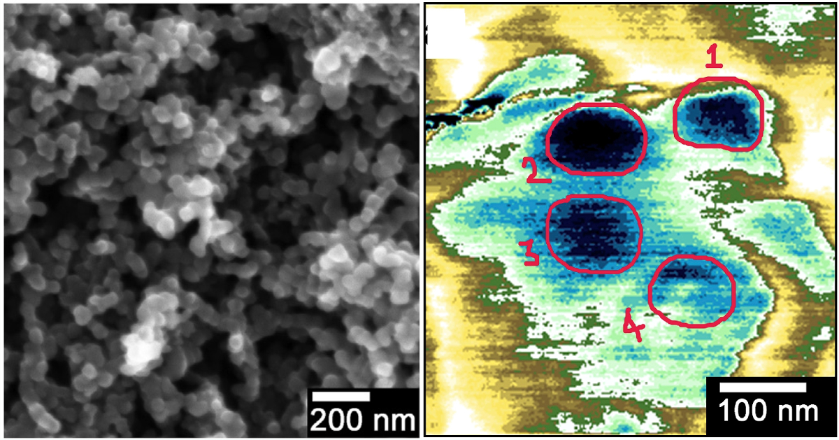 Polymer electrodes for renewable energy using carbon biowaste