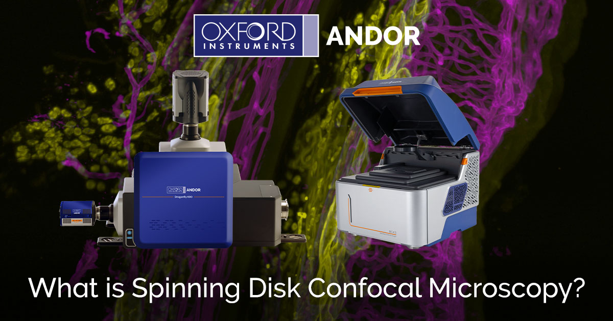 What Is Spinning Disk Confocal Microscopy Oxford Instruments